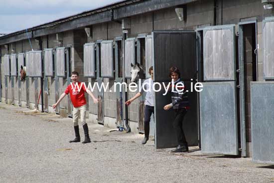 Kildare Hunt Pony Club Camp 2010 039
