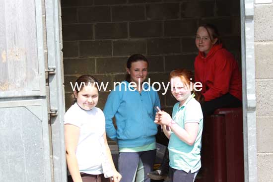 Kildare Hunt Pony Club Camp 2010 040
