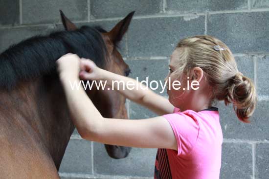 Kildare Hunt Pony Club Camp 2010 099