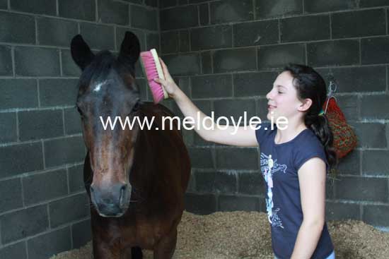 Kildare Hunt Pony Club Camp 2010 103