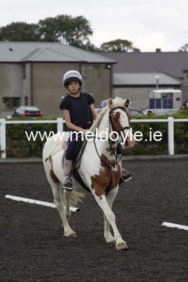 Kildare Hunt Pony Club Camp 2010 263