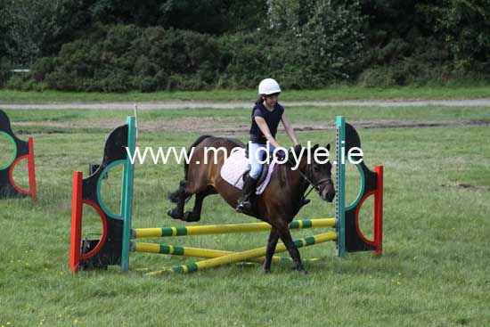 Kildare Hunt Pony Club Camp 2010 335