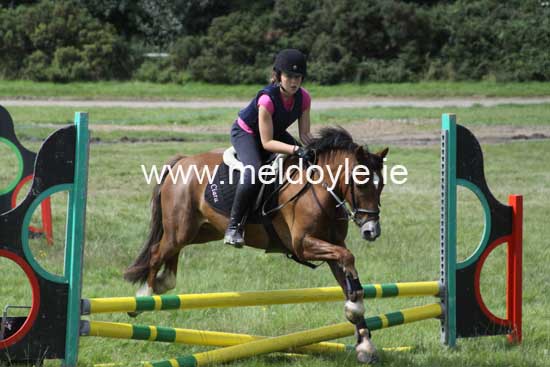 Kildare Hunt Pony Club Camp 2010 341
