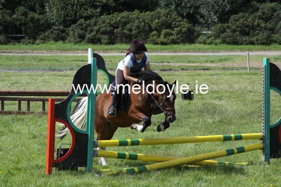 Kildare Hunt Pony Club Camp 2010 342