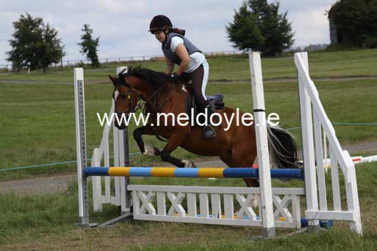 Kildare Hunt Pony Club Camp 2010 357