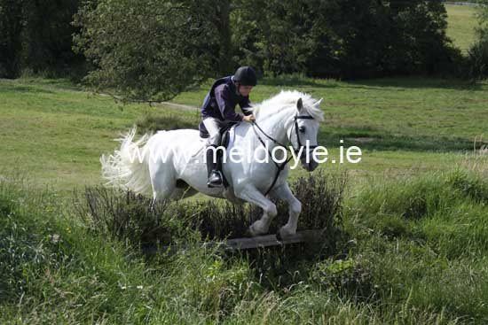 Kildare Hunt Pony Club Camp 2010 442