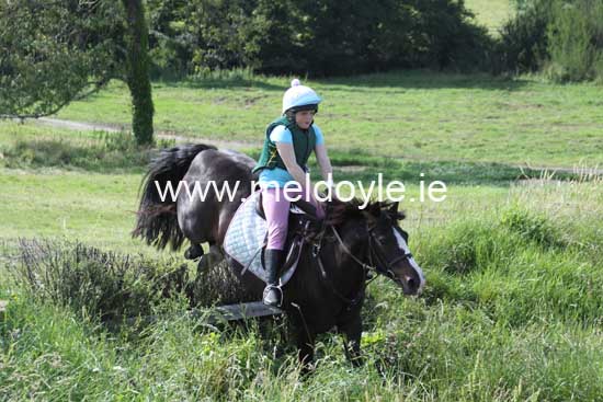 Kildare Hunt Pony Club Camp 2010 450