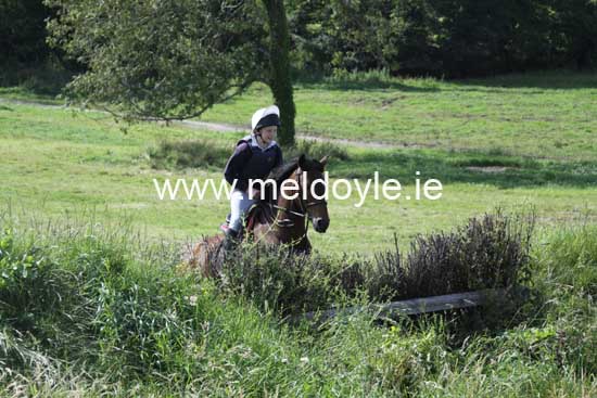Kildare Hunt Pony Club Camp 2010 451