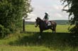 Kildare Hunt Pony Camp 2010 Camera 2 078