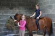 Kildare Hunt Pony Club Camp 2010 007
