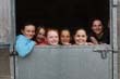 Kildare Hunt Pony Club Camp 2010 112