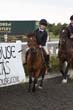 Kildare Hunt Pony Club Camp 2010 244