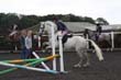 Kildare Hunt Pony Club Camp 2010 276