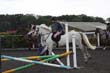 Kildare Hunt Pony Club Camp 2010 277