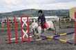 Kildare Hunt Pony Club Camp 2010 293