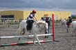 Kildare Hunt Pony Club Camp 2010 330