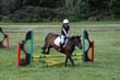 Kildare Hunt Pony Club Camp 2010 335