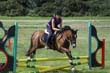 Kildare Hunt Pony Club Camp 2010 341