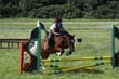 Kildare Hunt Pony Club Camp 2010 342
