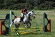 Kildare Hunt Pony Club Camp 2010 344