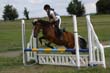 Kildare Hunt Pony Club Camp 2010 357