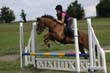 Kildare Hunt Pony Club Camp 2010 359
