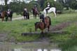 Kildare Hunt Pony Club Camp 2010 387