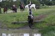 Kildare Hunt Pony Club Camp 2010 390