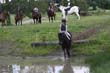 Kildare Hunt Pony Club Camp 2010 391