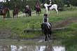Kildare Hunt Pony Club Camp 2010 392