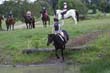 Kildare Hunt Pony Club Camp 2010 394