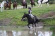 Kildare Hunt Pony Club Camp 2010 396