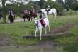Kildare Hunt Pony Club Camp 2010 405