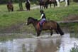 Kildare Hunt Pony Club Camp 2010 413