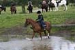 Kildare Hunt Pony Club Camp 2010 415