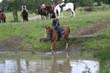 Kildare Hunt Pony Club Camp 2010 417