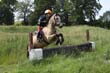 Kildare Hunt Pony Club Camp 2010 424
