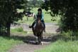 Kildare Hunt Pony Club Camp 2010 437