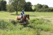 Kildare Hunt Pony Club Camp 2010 440
