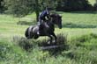 Kildare Hunt Pony Club Camp 2010 446