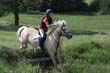 Kildare Hunt Pony Club Camp 2010 448
