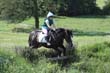 Kildare Hunt Pony Club Camp 2010 449
