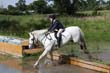 Kildare Hunt Pony Club Camp 2010 468