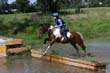 Kildare Hunt Pony Club Camp 2010 472