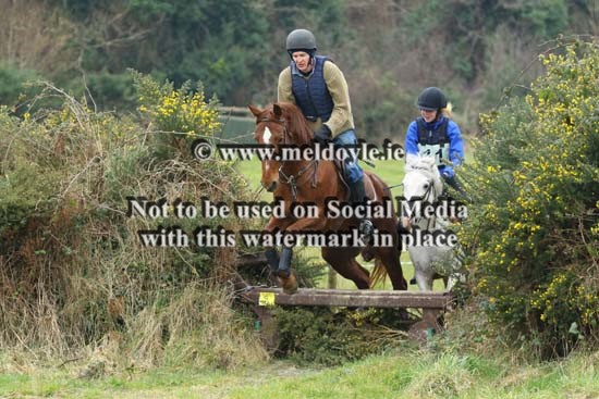 Shillelagh Hunt Hunter Trials 17-3-16 081